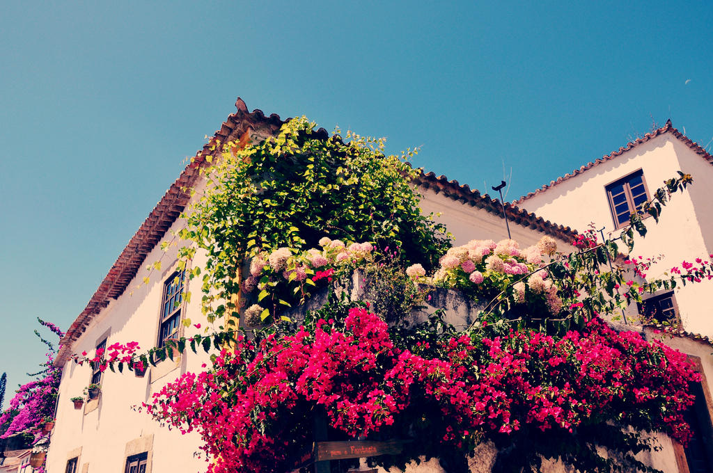 The Most Beautiful Quotes in Portuguese! Superprof